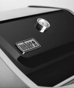 Weber Gas Grills Spirit II E-210 Black 2-Burner Natural Gas Grill 18 Weber Gas Grills Spirit II E-210 Black 2-Burner Natural Gas Grill -Weber Online Store 08677286