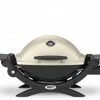 Weber Gas Grills Q 1200 Titanium 8500-BTU 189-sq in Portable Gas Grill