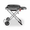 Weber Portable Grills Traveler Portable Gas Grill