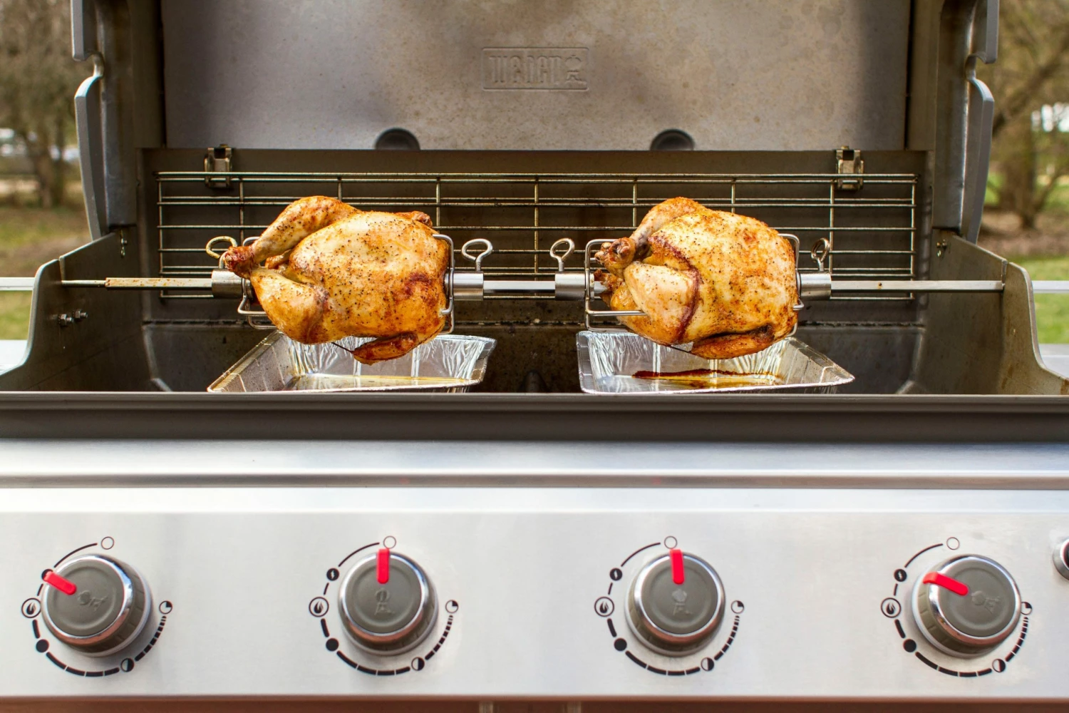 Weber Grill Rotisseries 55.7-in Stainless Steel Grill Rotisserie 2 Weber Grill Rotisseries 55.7-in Stainless Steel Grill Rotisserie - Image 2