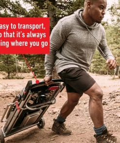 Weber Portable Grills Traveler Portable Gas Grill -Weber Online Store 42720720