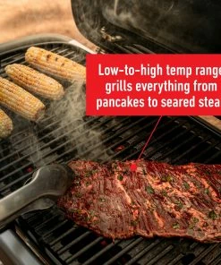 Weber Portable Grills Traveler Portable Gas Grill -Weber Online Store 42720721