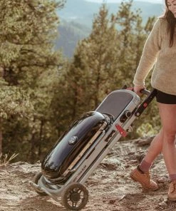 Weber Portable Grills Traveler Portable Gas Grill -Weber Online Store 42720722 scaled