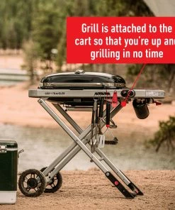 Weber Portable Grills Traveler Portable Gas Grill -Weber Online Store 42720725