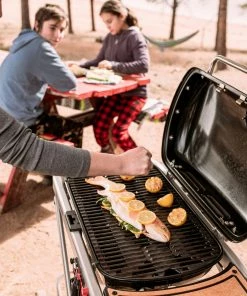 Weber Portable Grills Traveler Portable Gas Grill -Weber Online Store 42720727 scaled