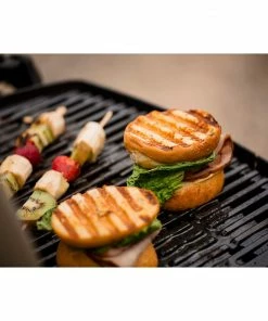 Weber Portable Grills Weber Q 1000 18 Weber Portable Grills Weber Q 1000 -Weber Online Store 43265357