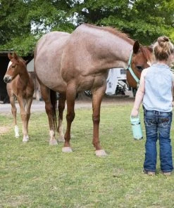 YETI Water Bottles & Mugs Rambler 12-fl oz Stainless Steel Water Bottle 13 YETI Water Bottles & Mugs Rambler 12-fl oz Stainless Steel Water Bottle -Weber Online Store 43641979