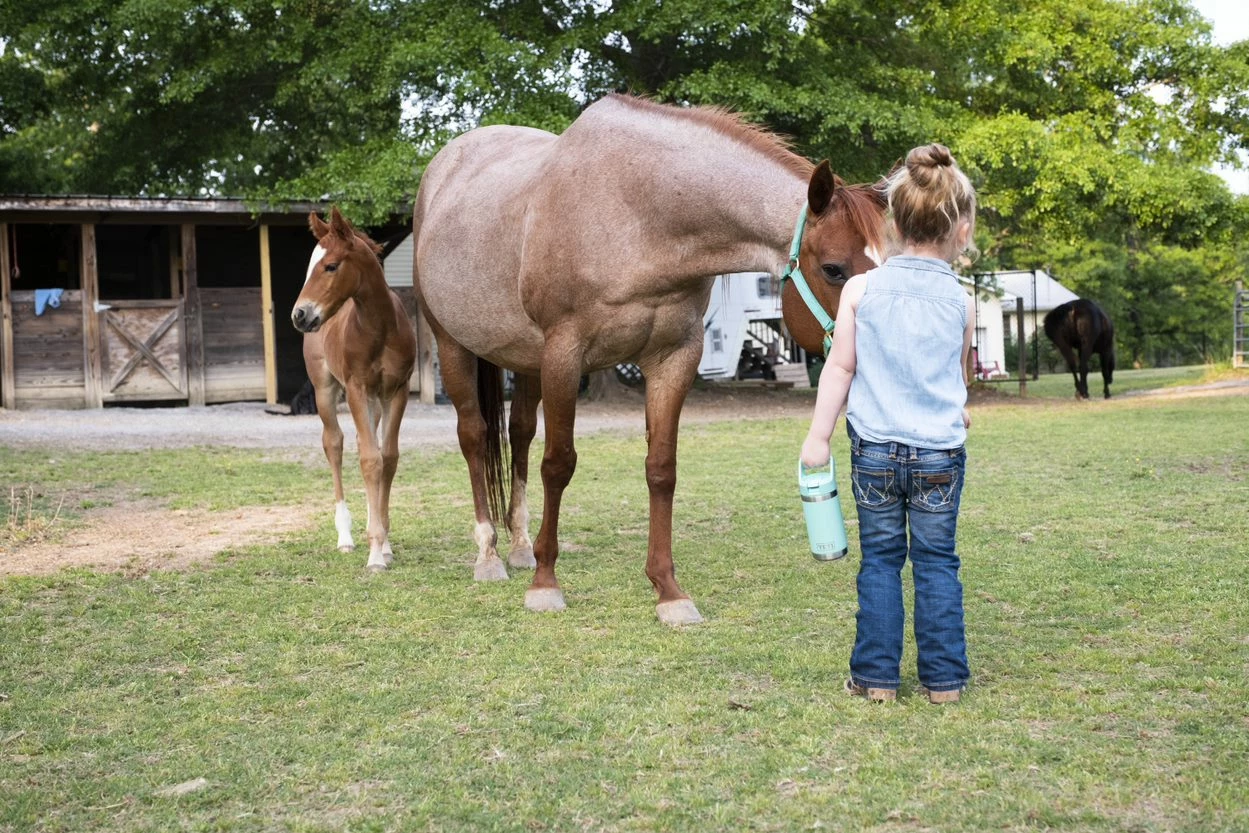 YETI Water Bottles & Mugs Rambler 12-fl oz Stainless Steel Water Bottle 6 YETI Water Bottles & Mugs Rambler 12-fl oz Stainless Steel Water Bottle - Image 6