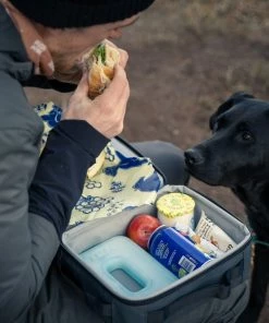 YETI Portable Coolers Daytrip Lunch Box Charcoal -Weber Online Store 43642357